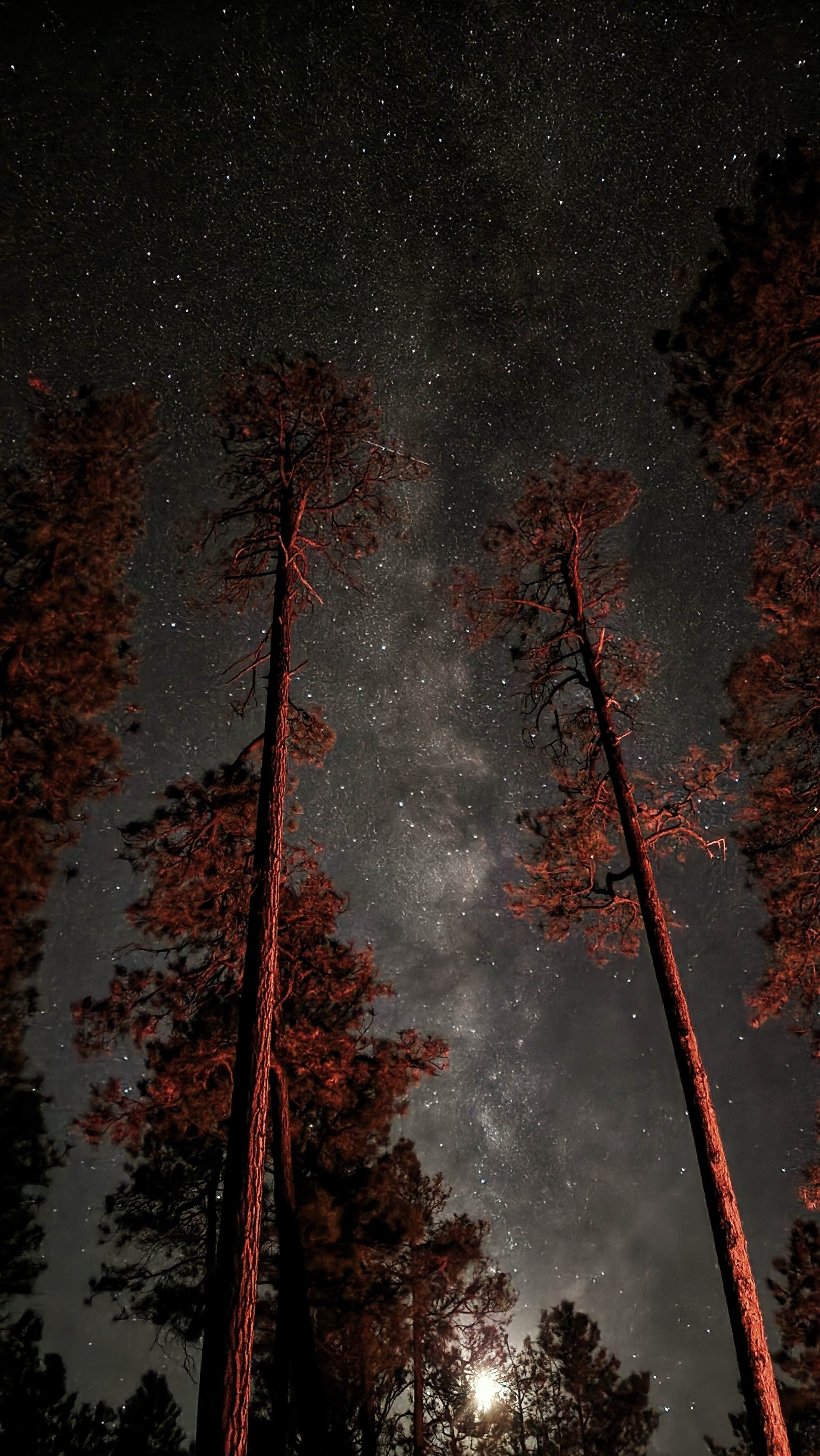 Benjamin R.'s photo of a dispersed camping area at Dispersed on 4 - Fenton Lake State Park near Santa Fe National Forest