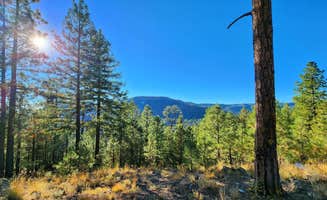 Benjamin R.'s photo of a dispersed camping area at Dispersed on 4 - Fenton Lake State Park in New Mexico