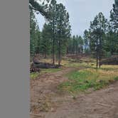 Review photo of Dispersed on 4 - Fenton Lake State Park by johny R., April 14, 2026