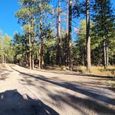 Review photo of Dispersed on 4 - Fenton Lake State Park by Benjamin R., October 24, 2023