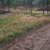 Review photo of Dispersed on 4 - Fenton Lake State Park by johny R., April 14, 2026