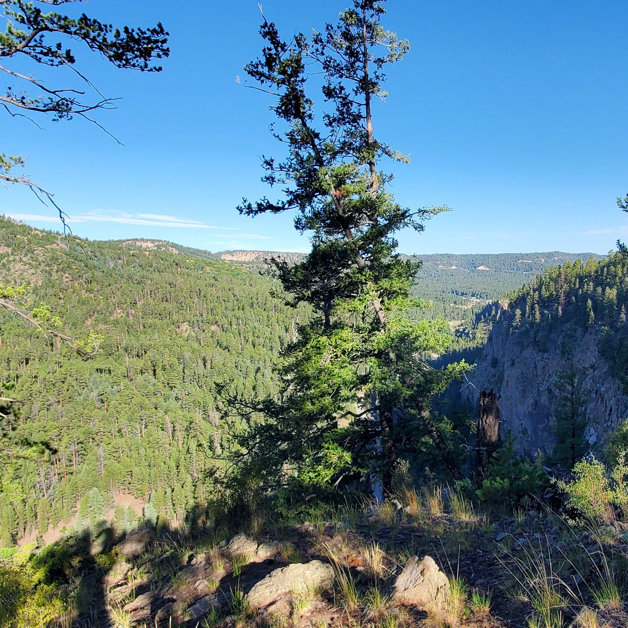 Dispersed on 4 Fenton Lake State Park Camping Jemez Springs, NM
