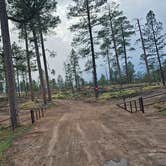 Review photo of Dispersed on 4 - Fenton Lake State Park by johny R., April 14, 2026