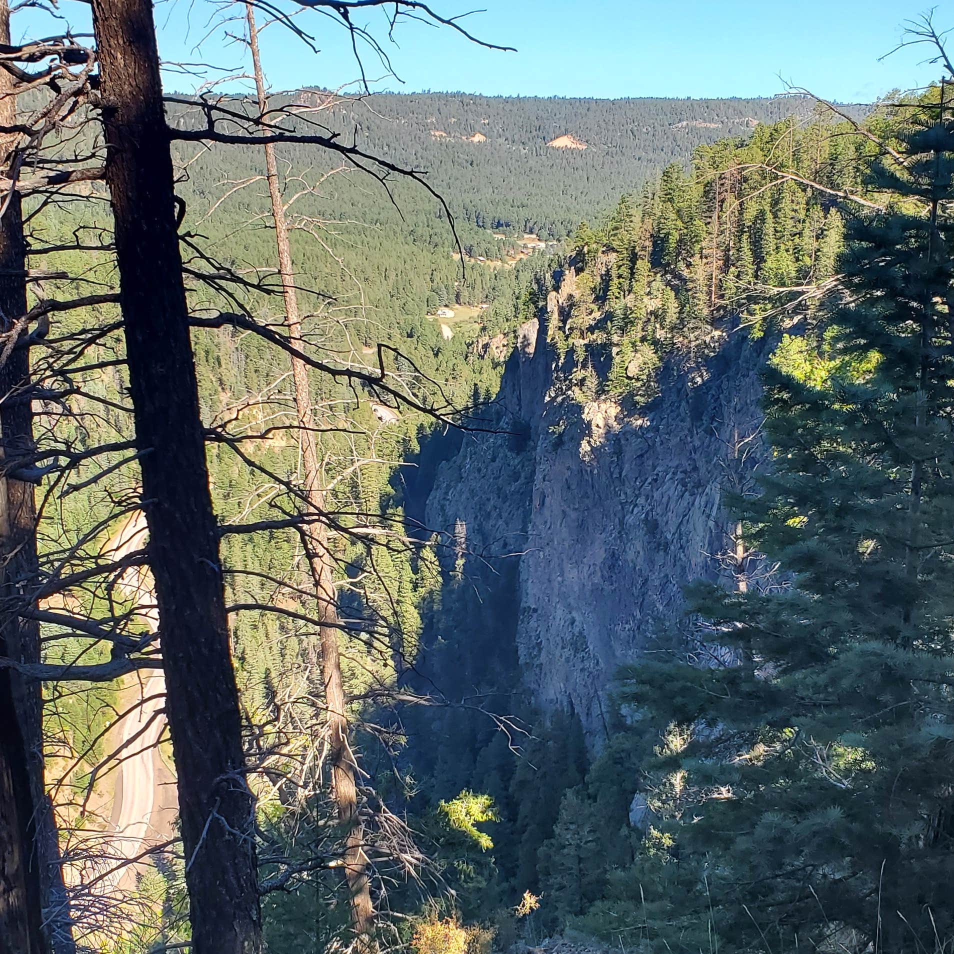 Dispersed on 4 Fenton Lake State Park Camping Jemez Springs, NM