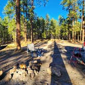 Review photo of Dispersed on 4 - Fenton Lake State Park by Benjamin R., October 24, 2023