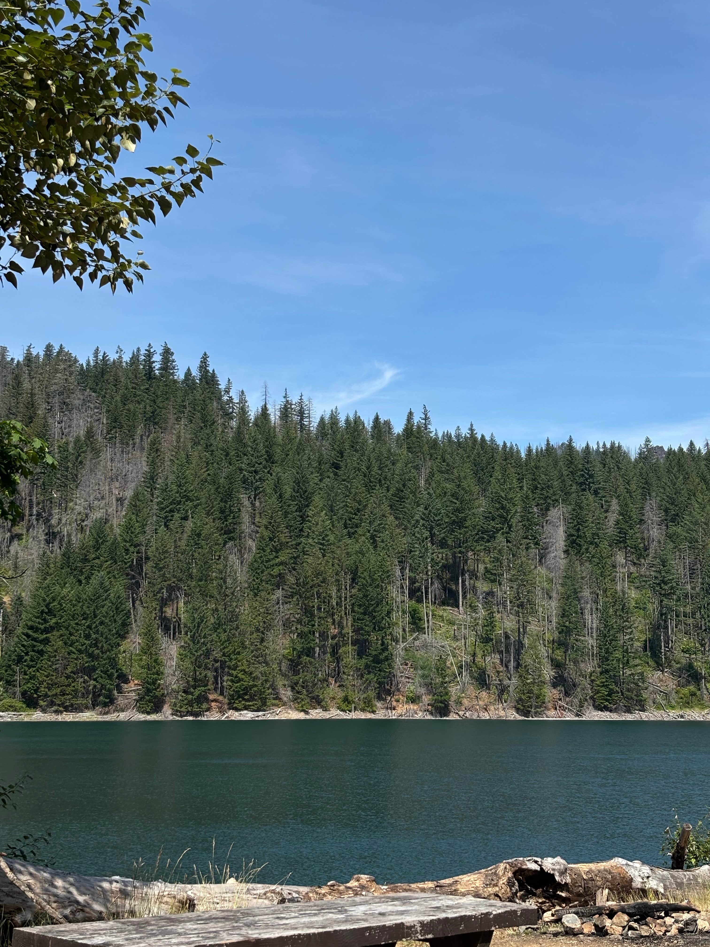 Dax S.'s photo of a dispersed camping area at Blue River Reservoir Roadside Camping near Walterville, OR