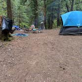 Review photo of Blue River Reservoir Roadside Camping by ChiAnn M., May 2, 2025