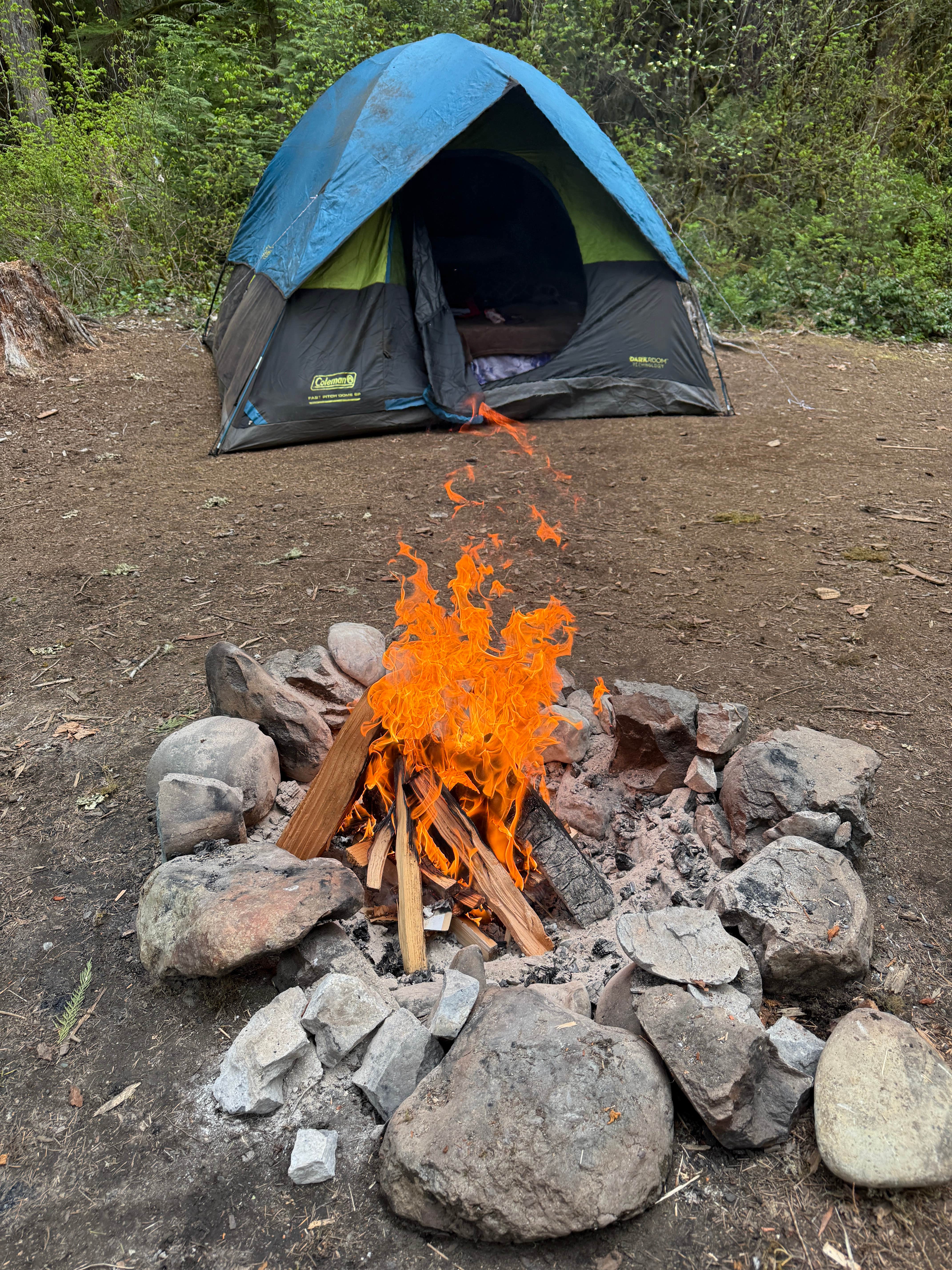 Camper-submitted photo at Blue River Reservoir Roadside Camping near Willamette National Forest