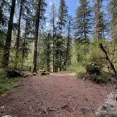 Review photo of Blue River Reservoir Roadside Camping by ChiAnn M., May 2, 2025