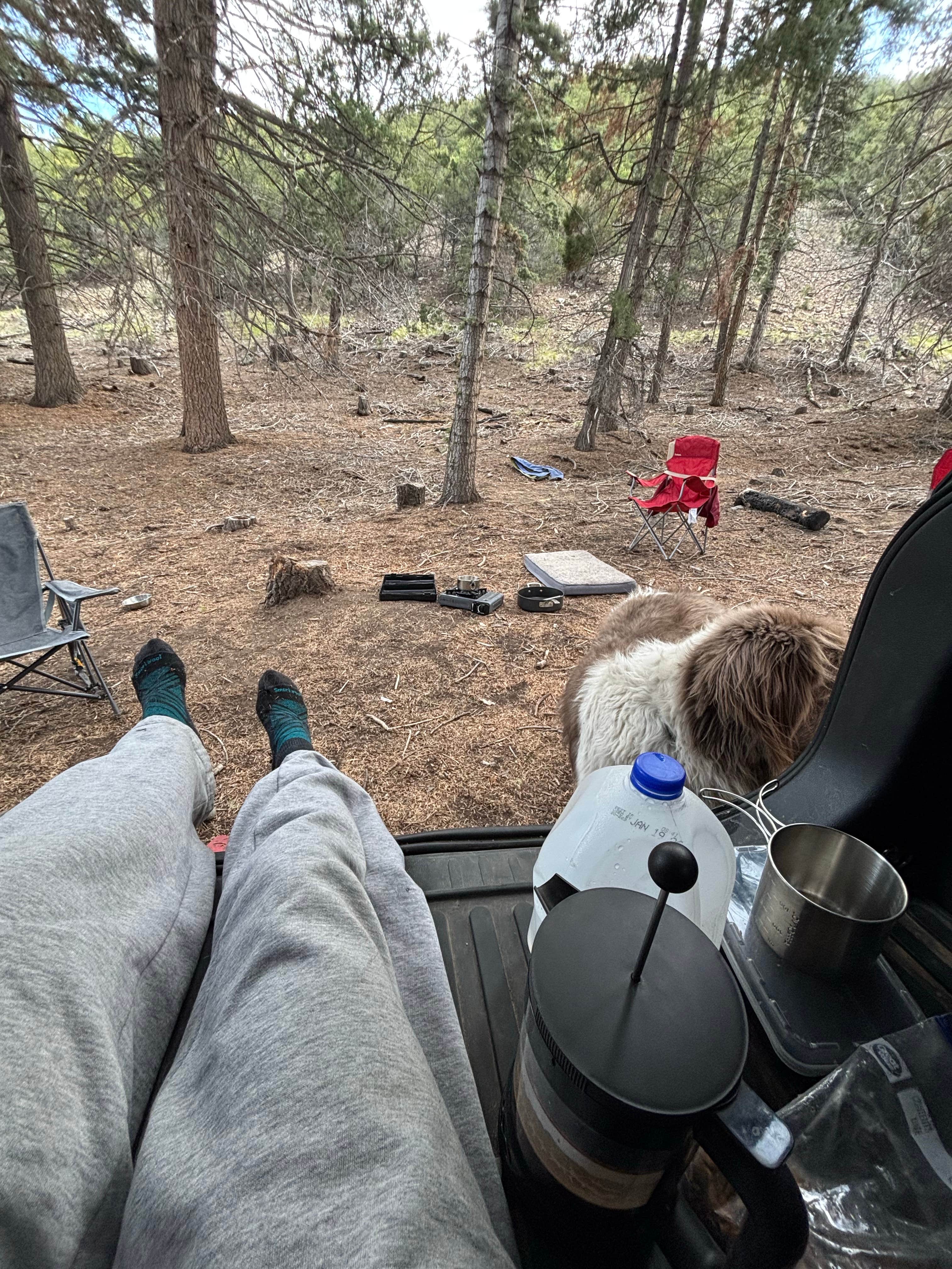 Camper submitted image from Dispersed Sand Area 1 - 2