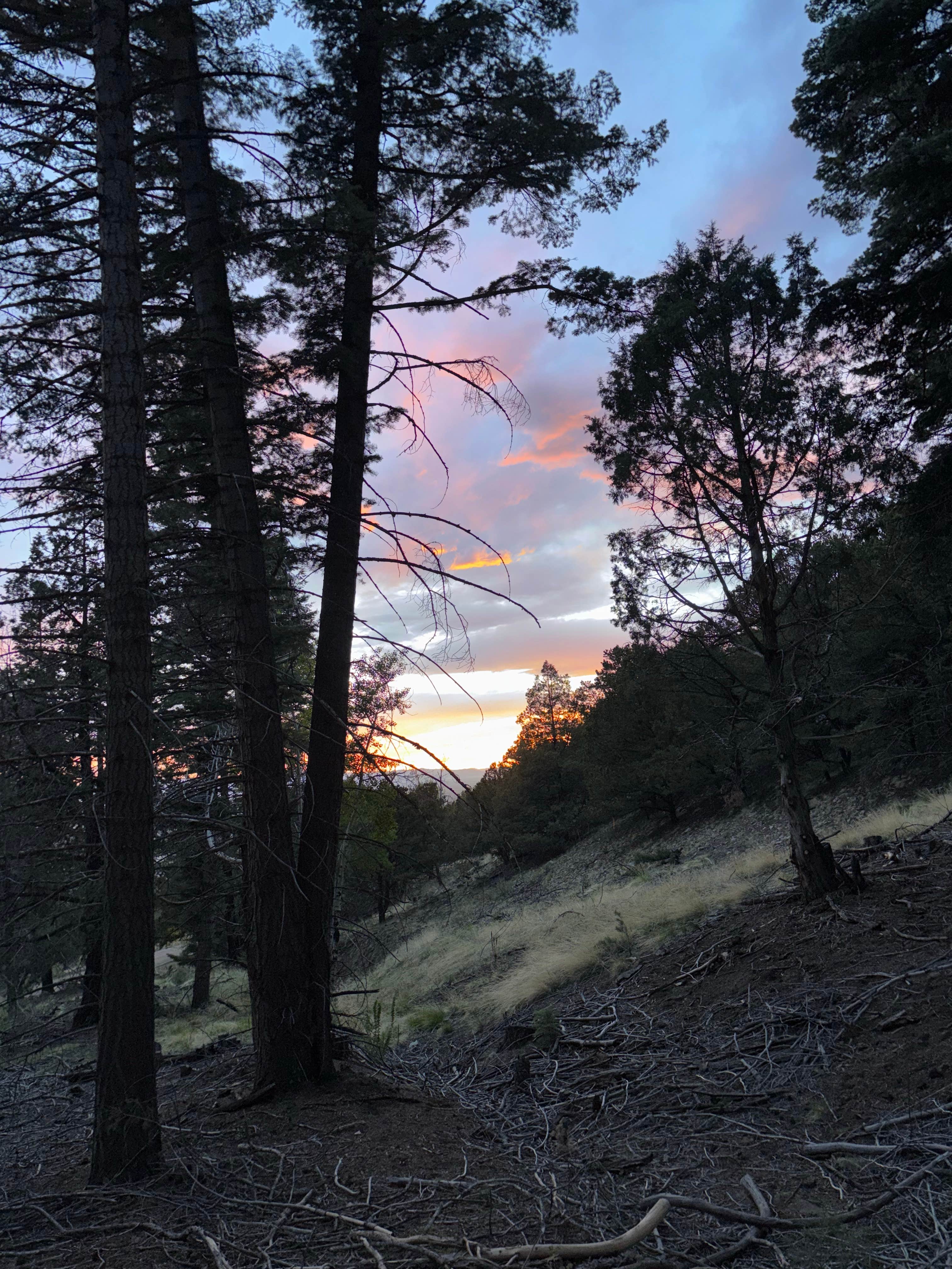 Camper-submitted photo at Dispersed Sand Area 1 near Mosca, CO
