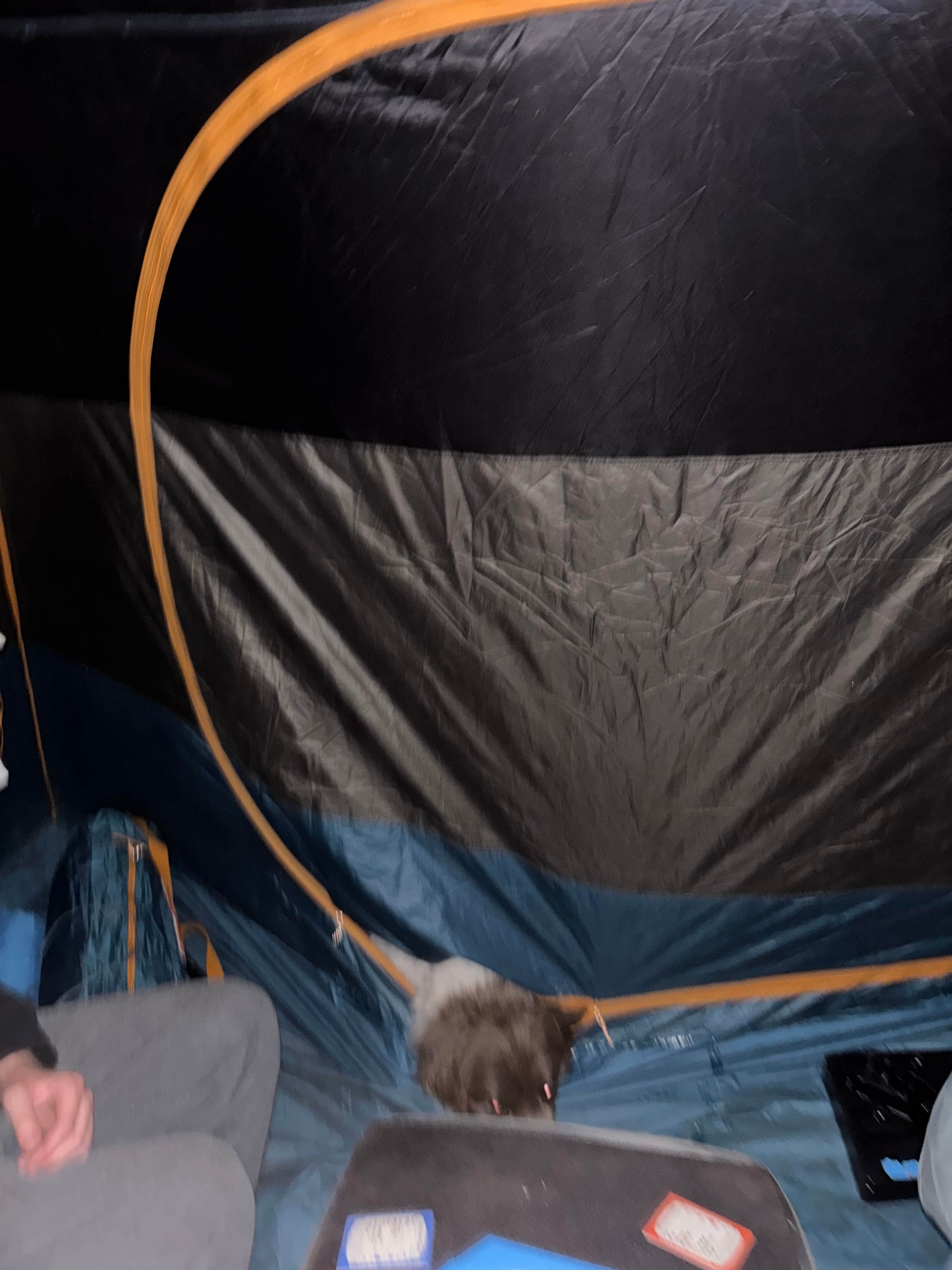 Camper submitted image from Dispersed Sand Area 1 - 5
