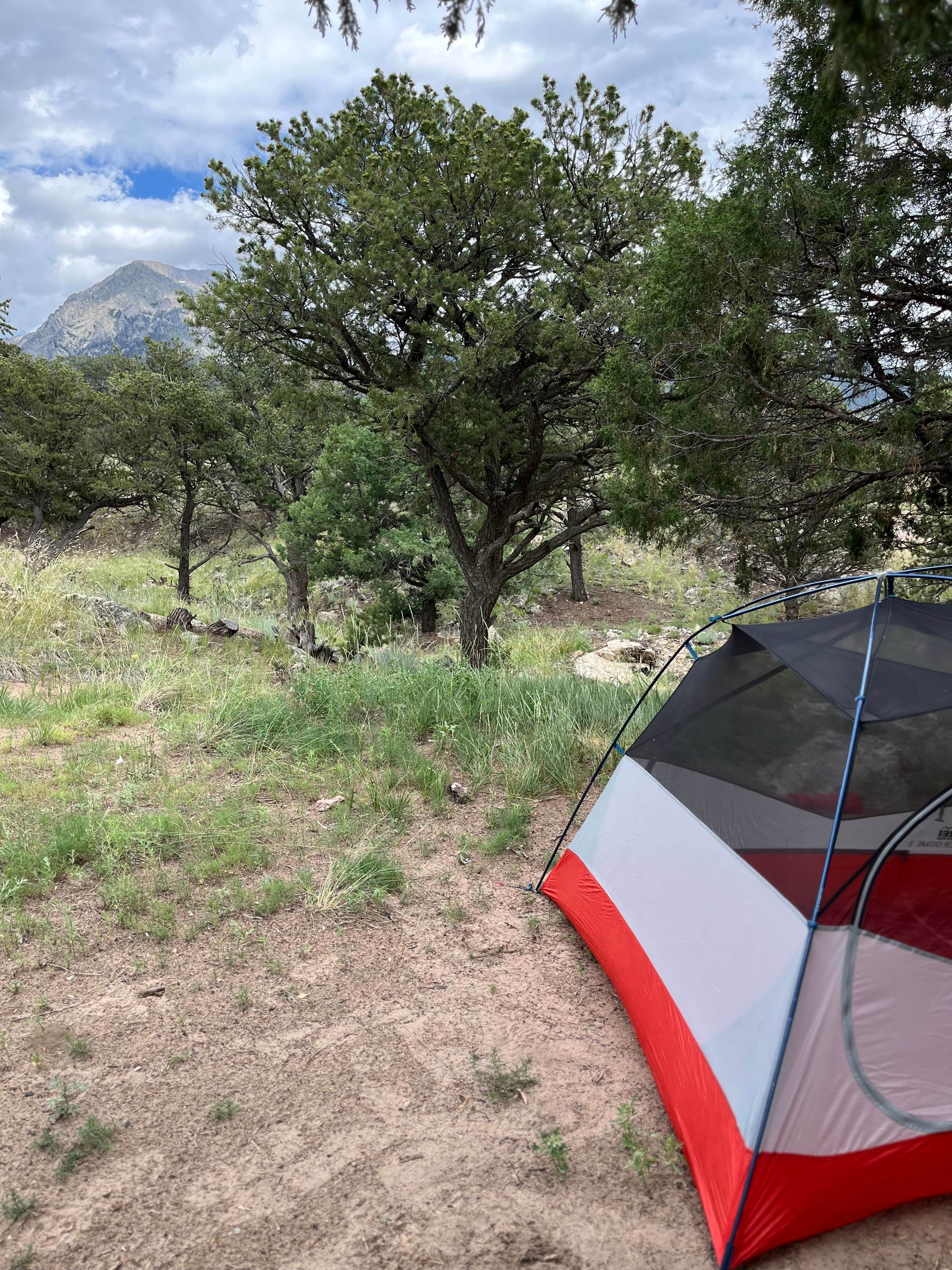 Camper-submitted photo at Dispersed Sand Area 1 near Mosca, CO