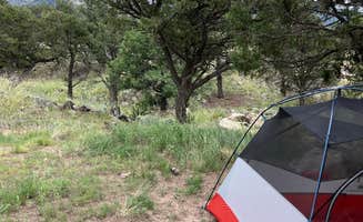 phil G.'s photo of a dispersed camping area at Dispersed Sand Area 1 near Westcliffe, CO