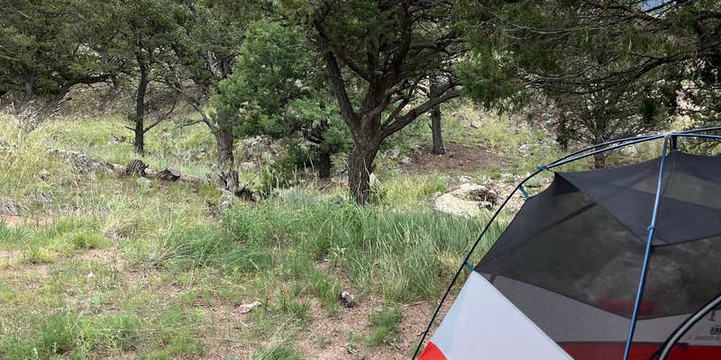 Camper submitted image from Dispersed Sand Area 1