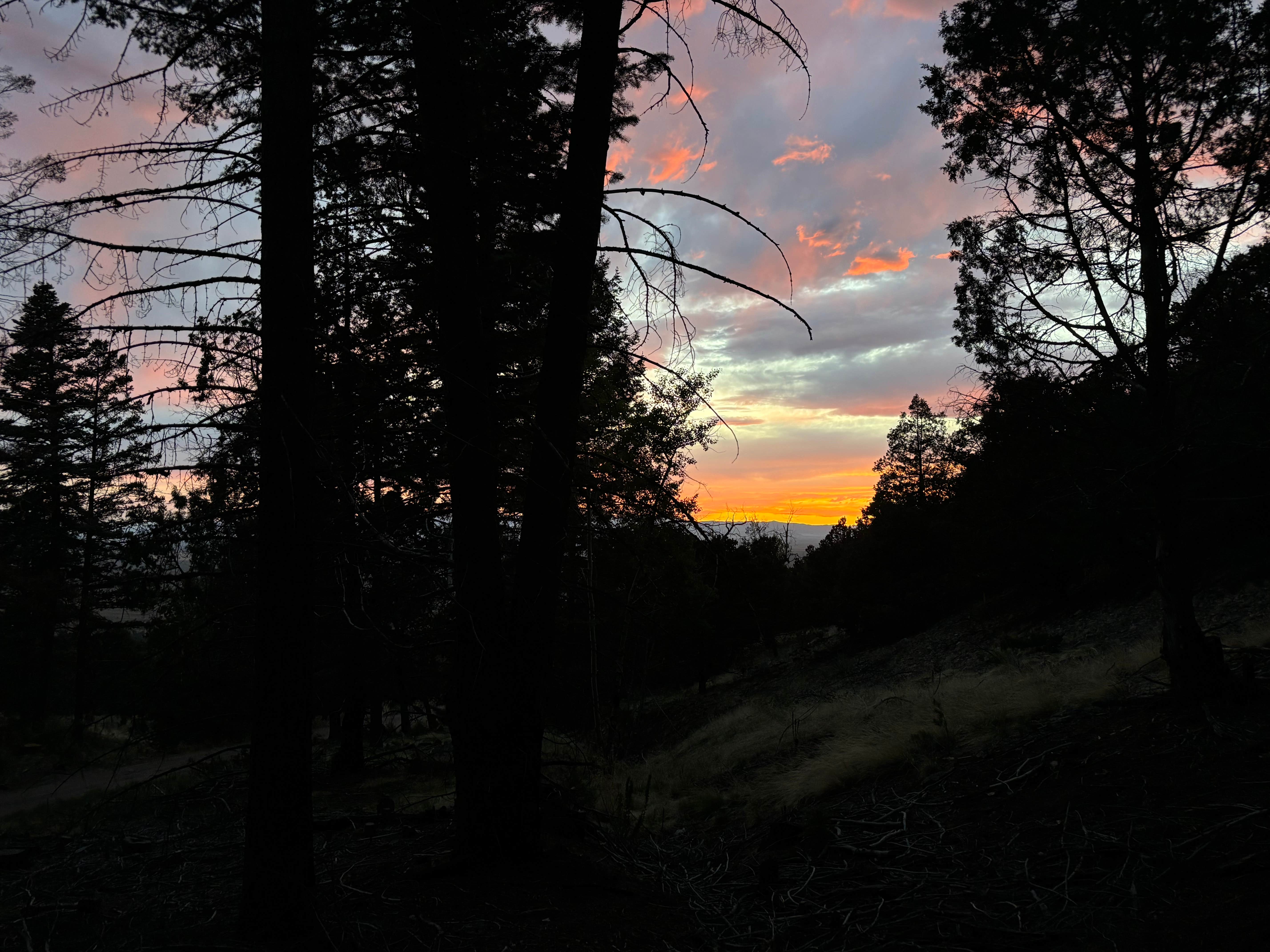 Camper-submitted photo at Dispersed Sand Area 1 near Mosca, CO