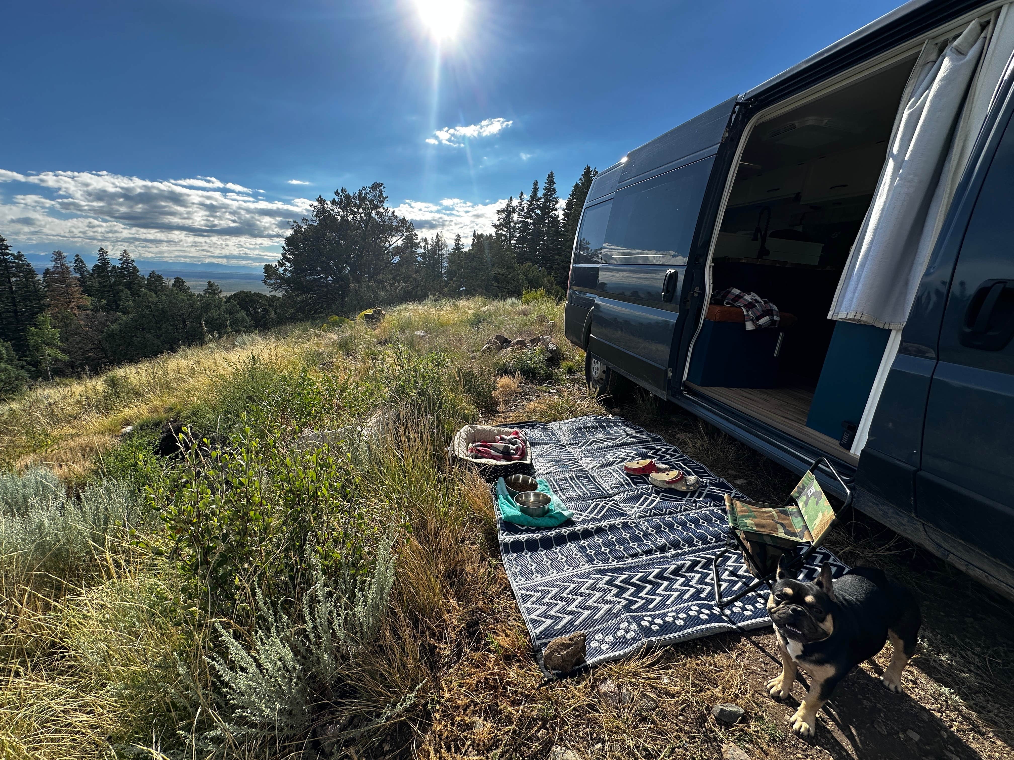 Erika L.'s photo at Dispersed Sand Area 1 near Crestone, CO