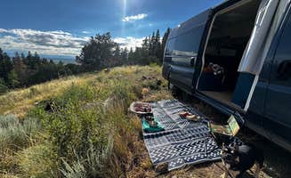 Erika L.'s photo of camping with pets at Dispersed Sand Area 1 near Great Sand Dunes National Park And Preserve