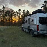 Review photo of Black Hills Dispersed Site - Hwy 89 by Mike C., July 26, 2025