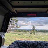 Review photo of Black Hills Dispersed Site - Hwy 89 by Marikate D., June 24, 2026