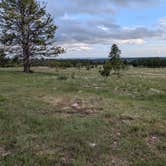 Review photo of Black Hills Dispersed Site - Hwy 89 by Marikate D., June 24, 2026