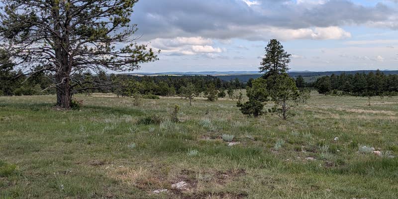 Camper submitted image from Black Hills Dispersed Site - Hwy 89