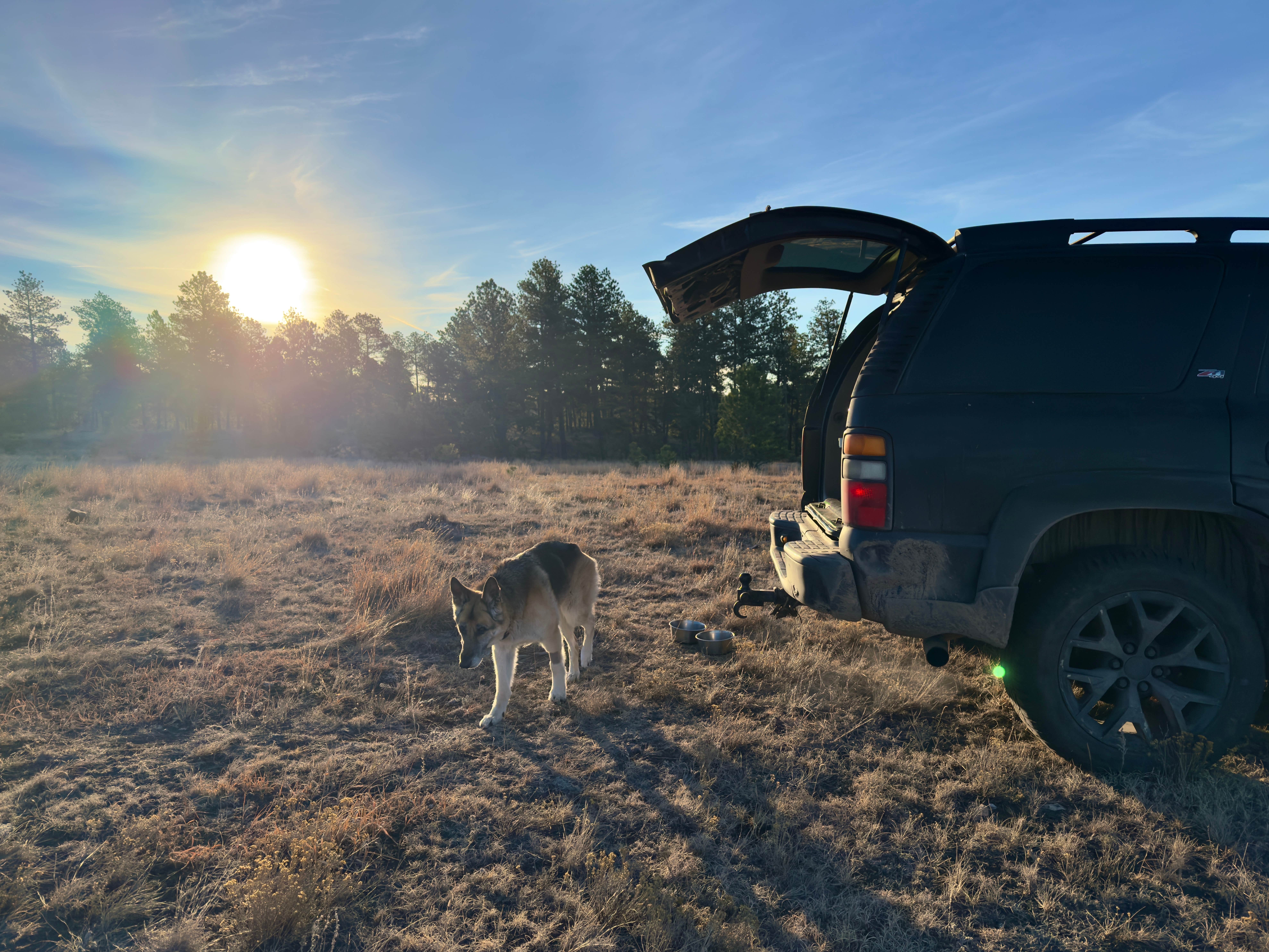 Camper-submitted photo at Black Hills Dispersed Site - Hwy 89 near Hot Springs, SD