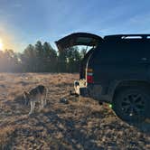 Review photo of Black Hills Dispersed Site - Hwy 89 by T S., March 28, 2026
