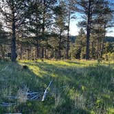 Review photo of Black Hills Dispersed Site - Hwy 89 by joe , June 6, 2024