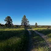 Review photo of Black Hills Dispersed Site - Hwy 89 by joe , June 6, 2024