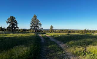 joe's photo of a dispersed camping area at Black Hills Dispersed Site - Hwy 89 near Black Hills National Forest