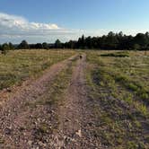 Review photo of Black Hills Dispersed Site - Hwy 89 by Aspen S., August 8, 2025