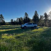 Review photo of Black Hills Dispersed Site - Hwy 89 by joe , June 6, 2024