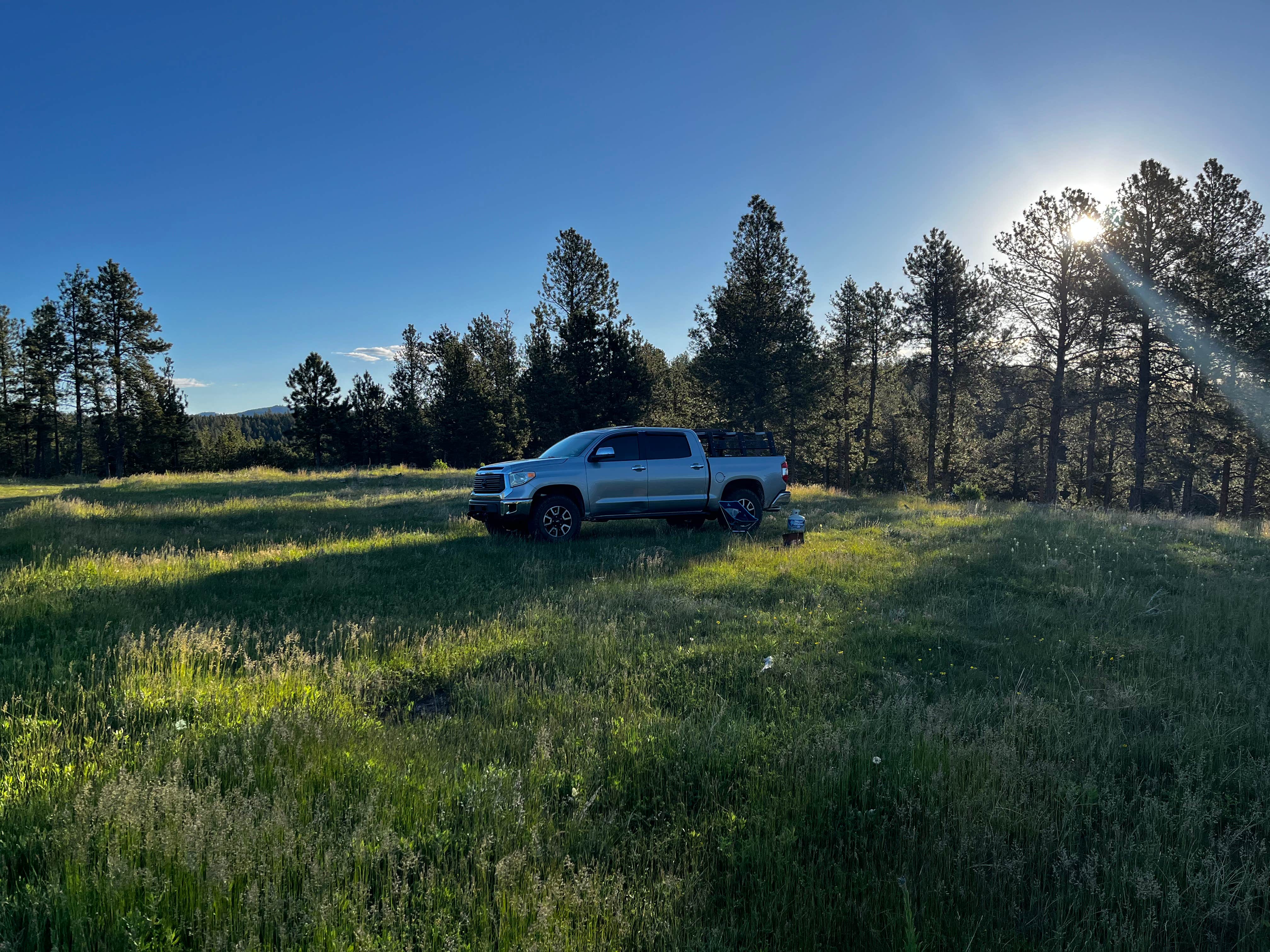 Camper submitted image from Black Hills Dispersed Site - Hwy 89 - 4