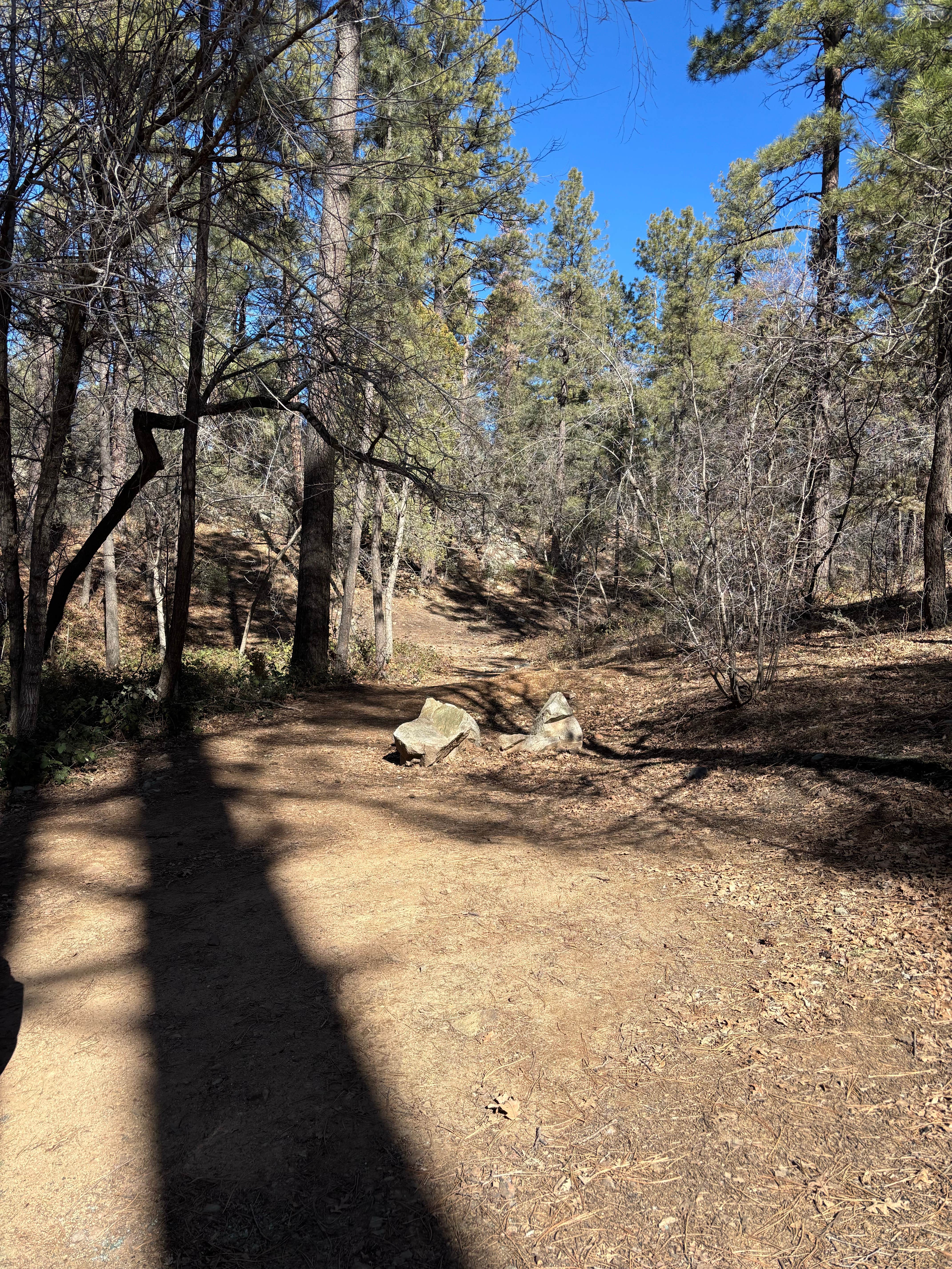 Camper-submitted photo at Dispersed Site #6 near Prescott Valley, AZ