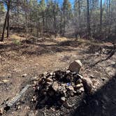 Review photo of Dispersed Site #6 by Kevin  B., January 17, 2026