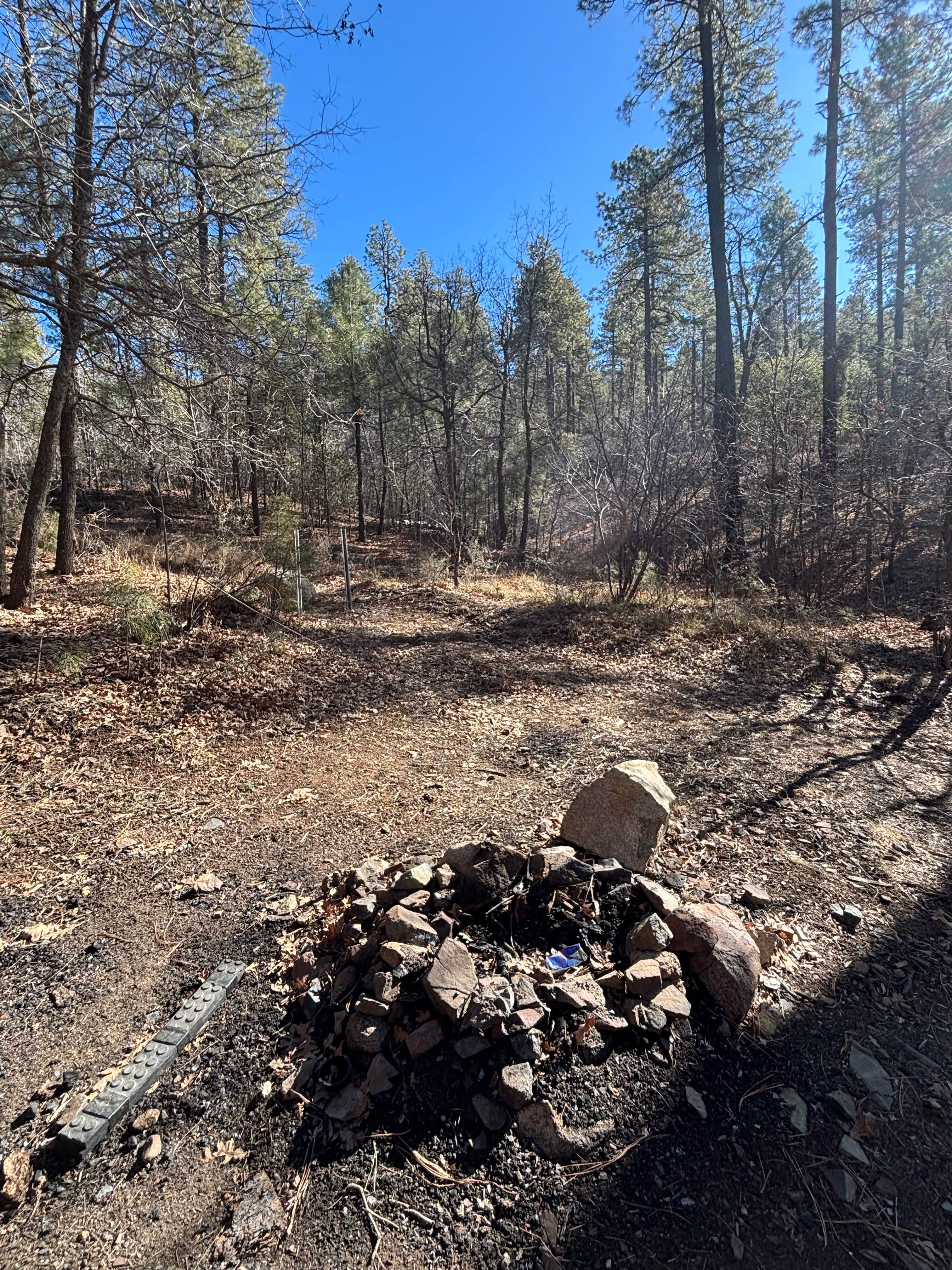 Camper submitted image from Dispersed Site #6 - 1