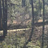 Review photo of Dispersed Site #6 by Kevin  B., January 17, 2026