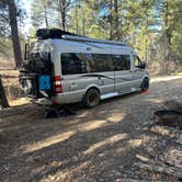 Review photo of Dispersed Site 6 by Teresa A., February 2, 2026