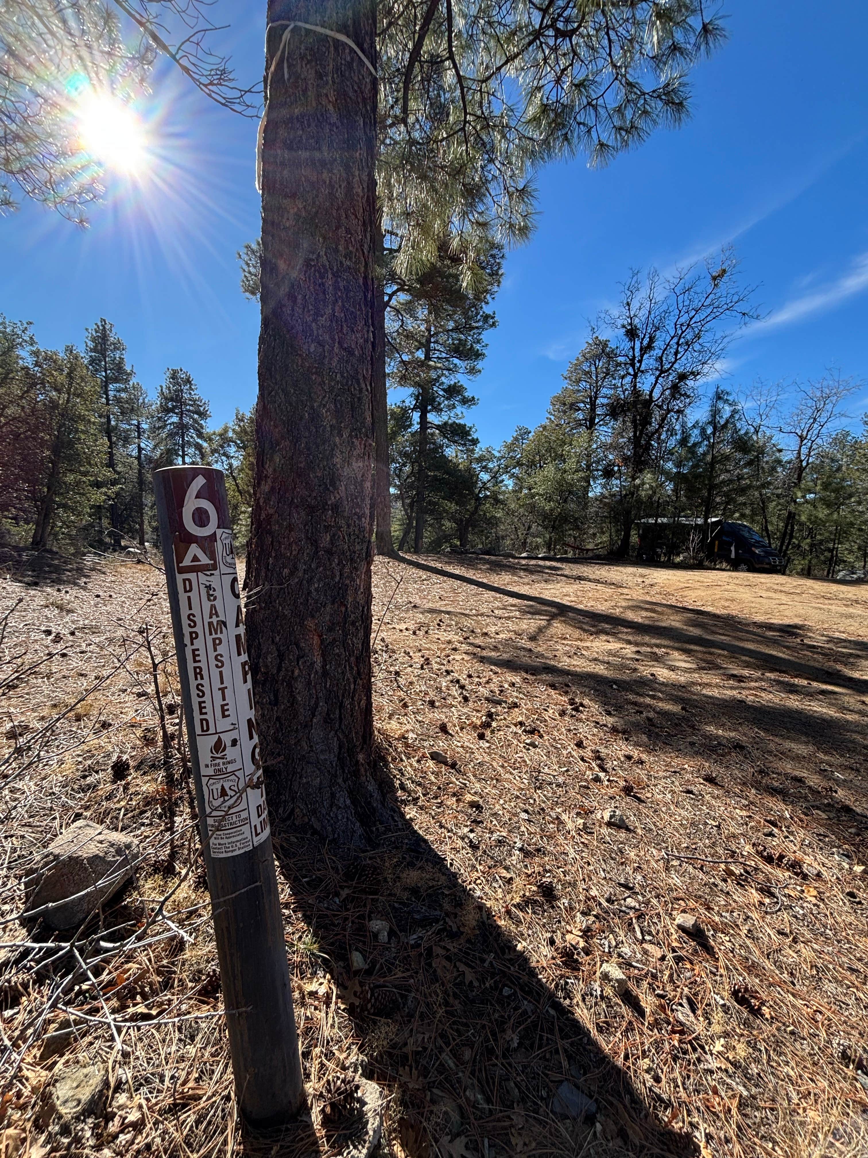 Camper submitted image from Dispersed Site 6 - 3