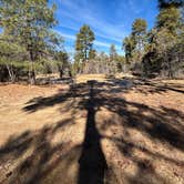 Review photo of Dispersed Site 6 by Kevin  B., January 13, 2026