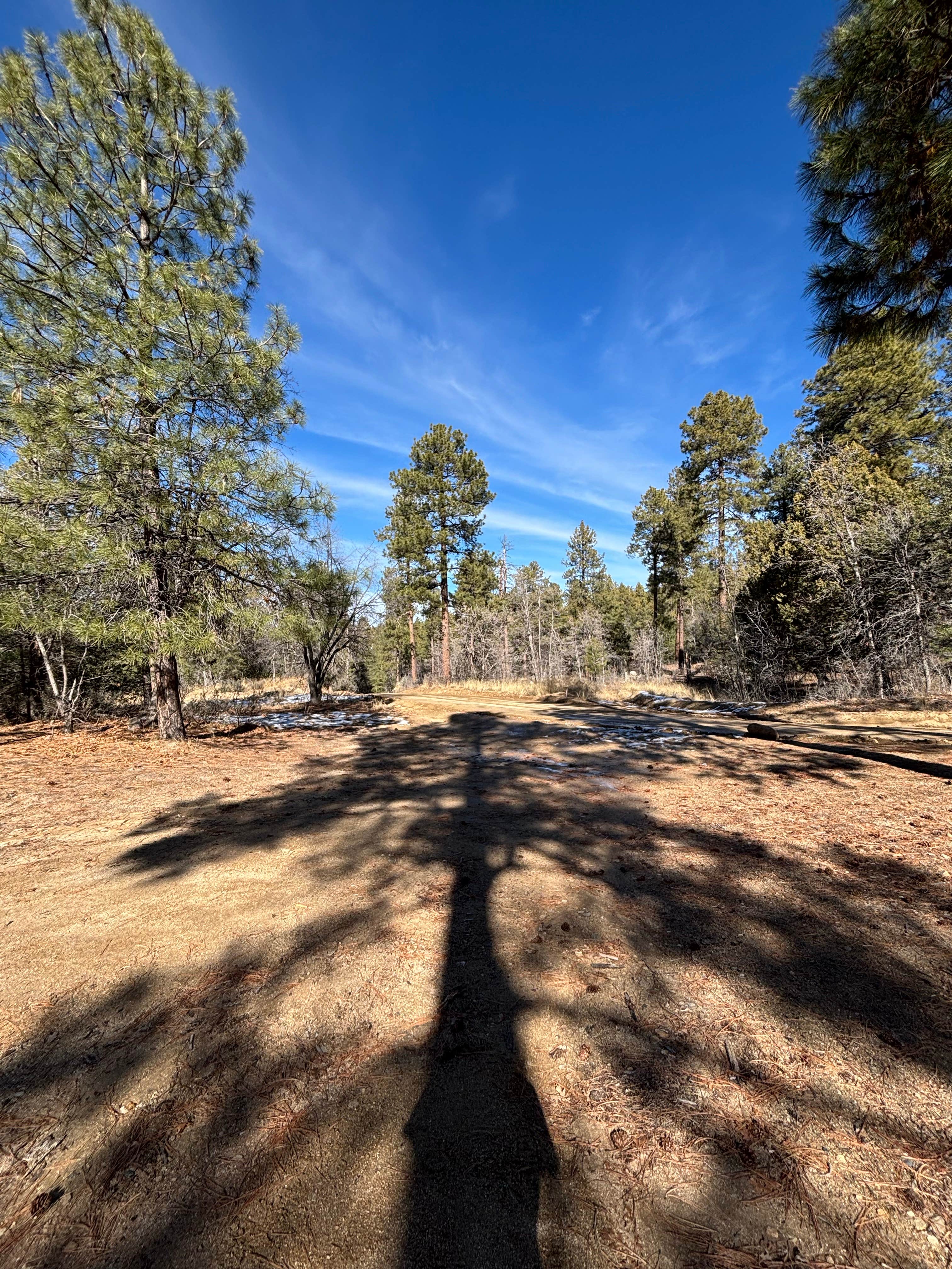 Camper submitted image from Dispersed Site 6 - 2