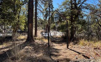 Kevin B.'s photo of a dispersed camping area at Dispersed Site 6 near Prescott, AZ