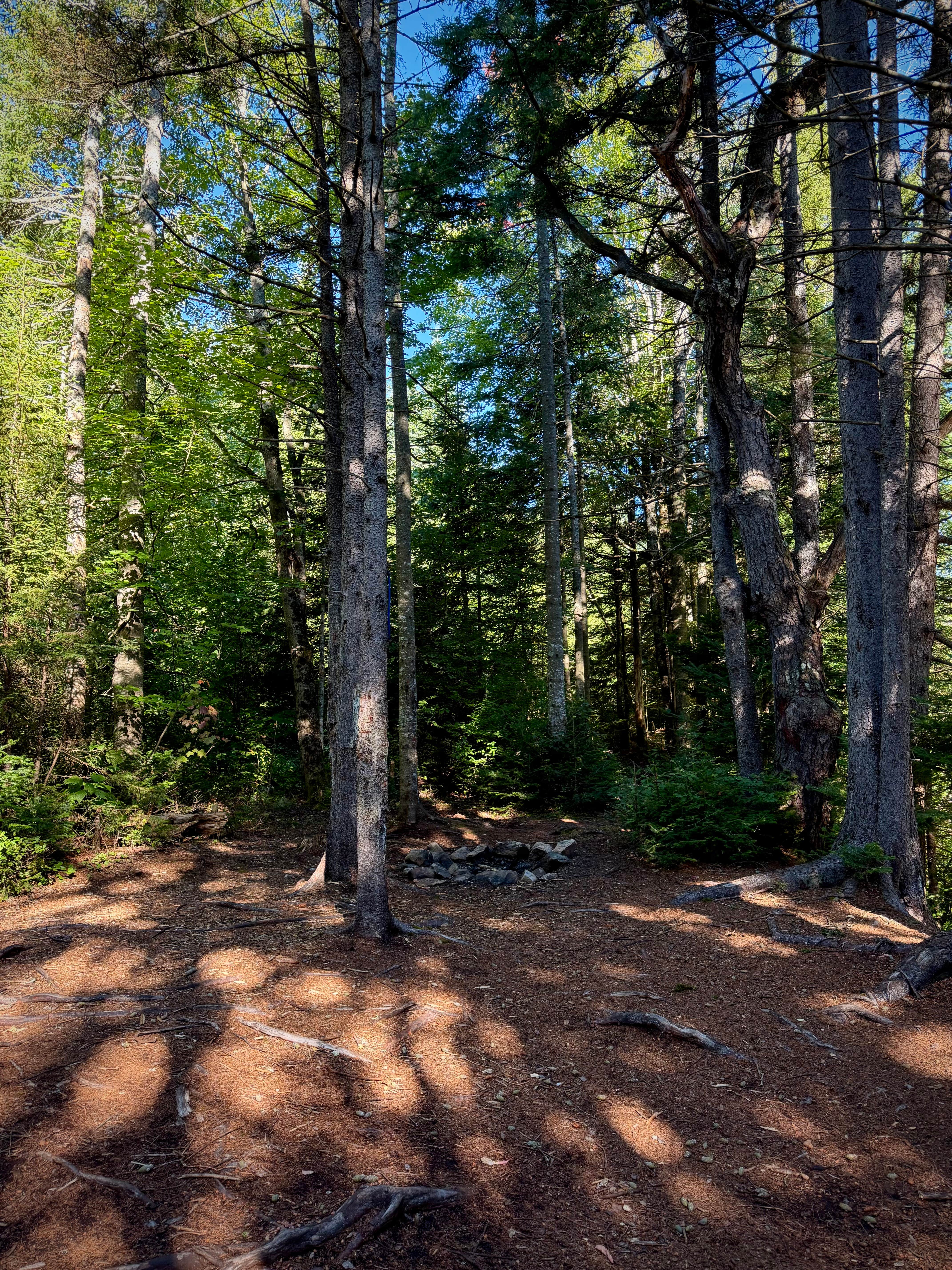 Camper-submitted photo at Dispersed site along Forest RD 71 near Surry, NH