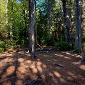Review photo of Dispersed site along Forest RD 71 by Jessica M., September 2, 2026