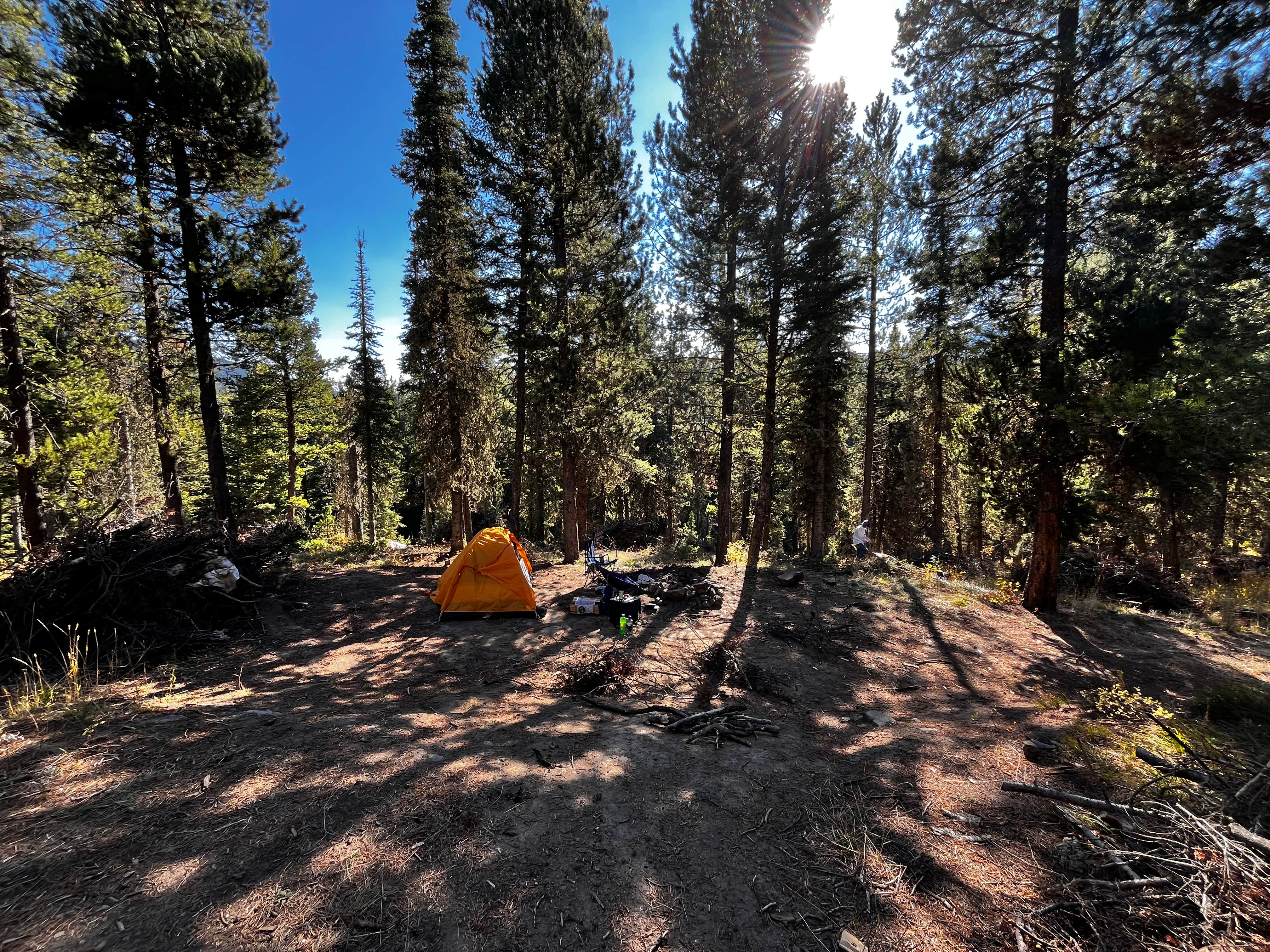 Tristan S.'s photo of tent camping at South Fork Brackett Creek Dispersed Site near Emigrant, MT