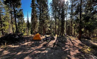 Tristan S.'s photo at South Fork Brackett Creek Dispersed Site near Bozeman, MT