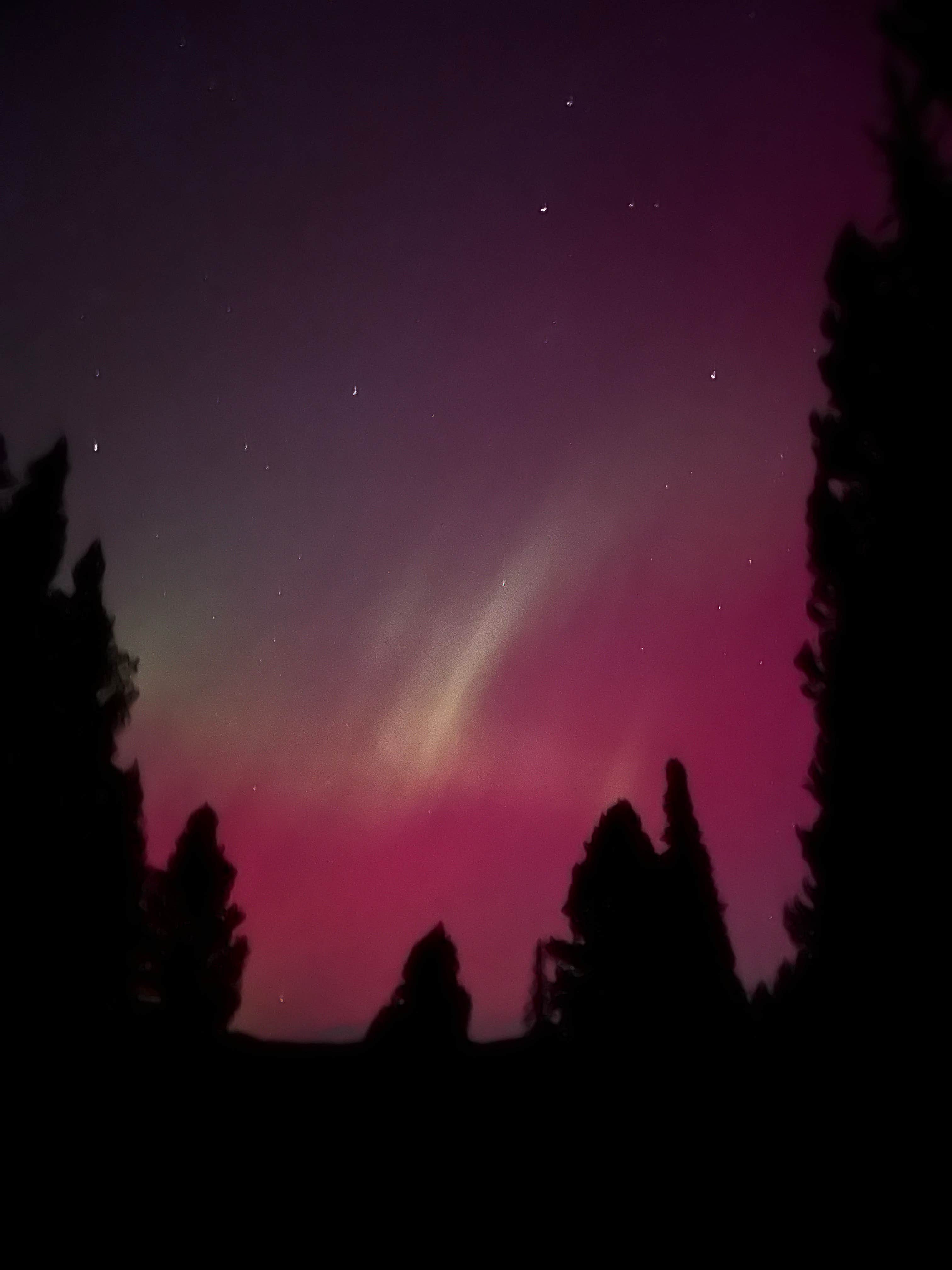 Tristan S.'s photo of a dispersed camping area at South Fork Brackett Creek Dispersed Site near Livingston, MT