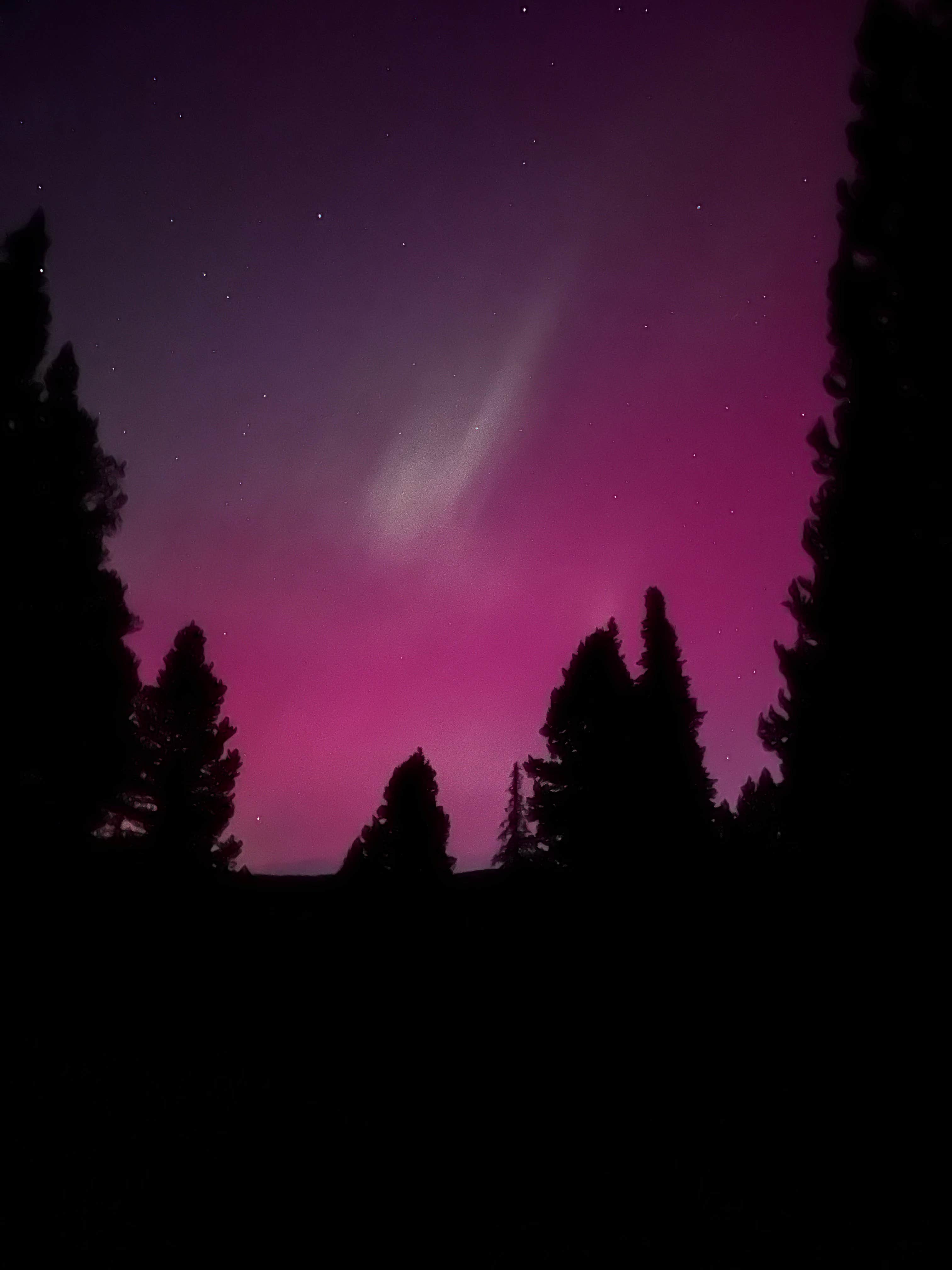 Camper-submitted photo at South Fork Brackett Creek Dispersed Site near Livingston, MT