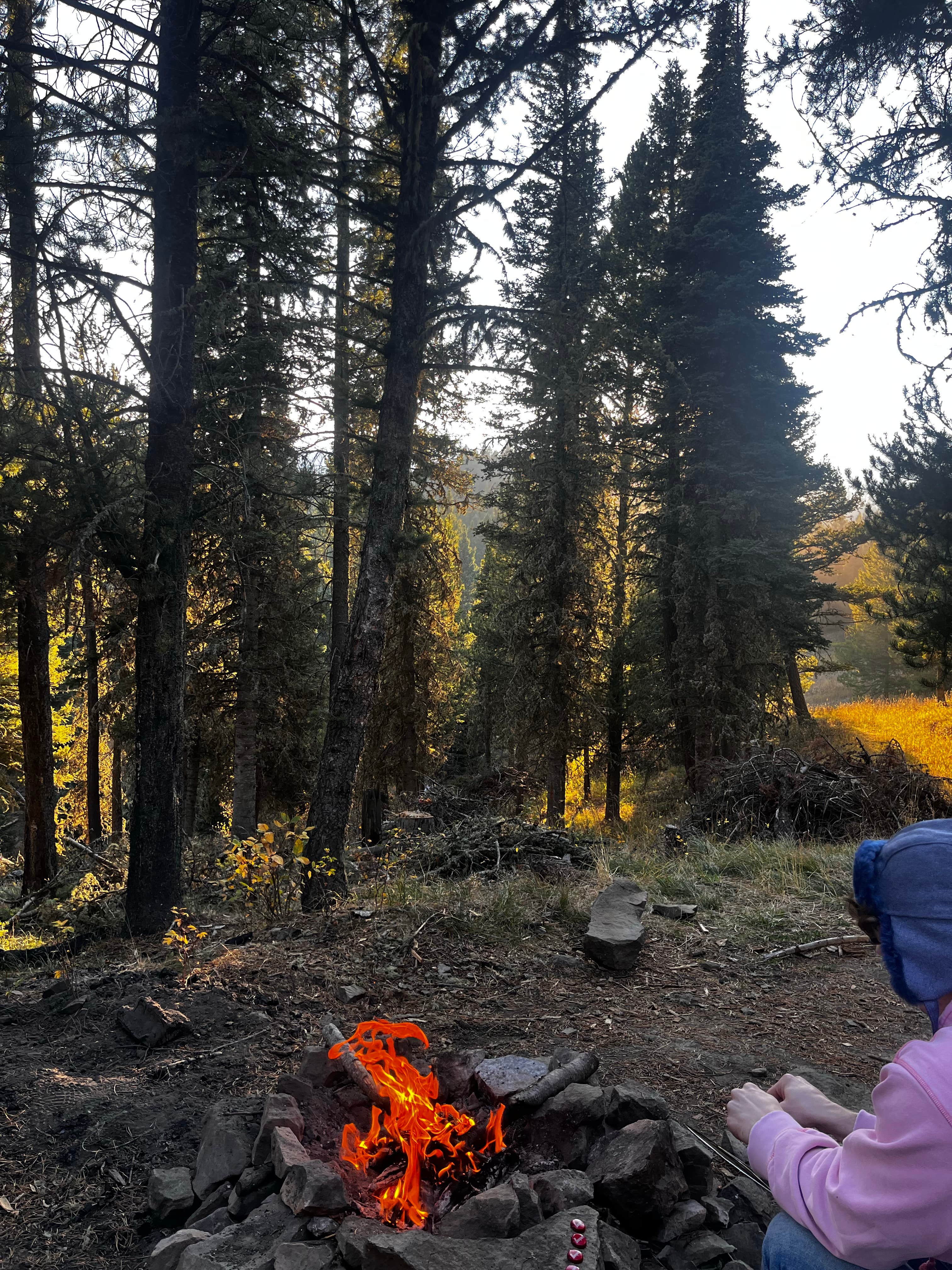 Camper-submitted photo at South Fork Brackett Creek Dispersed Site near Livingston, MT